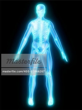 3d rendered anatomy illustration of a glowing human skeleton