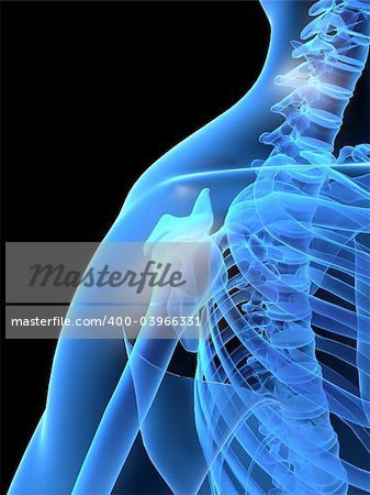 3d rendered x-ray illustration of a human shoulder