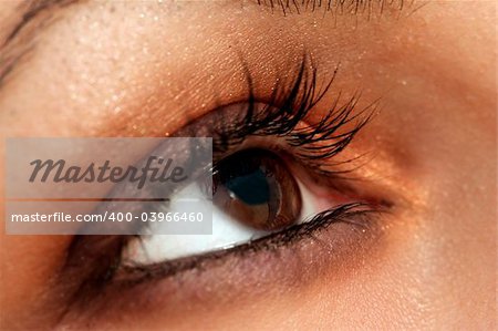 Macro image of a brown eye