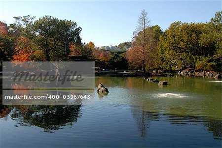 Fall colors on a lake, Auburn Botanic Garden, Sydney, New South Wales, Australia