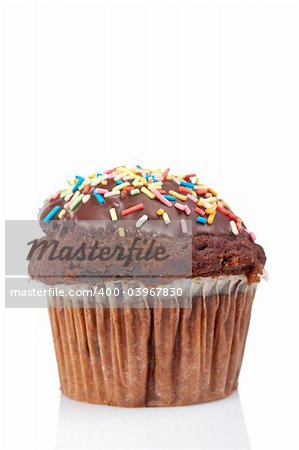 A tasty muffin with chocolate isolated on white background. Shallow DOF