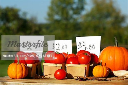 Tomatoes for sale on a sunny day