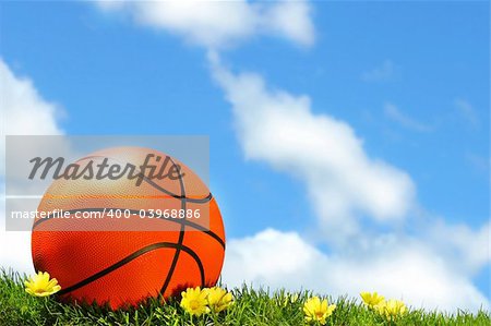 Basketball on the grass against blue sky