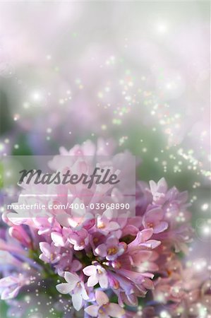 Fairy dust on lilac flower with fairy dust effect