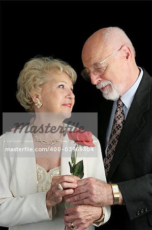 A handsome senior couple in love.  He's giving her a rose.  A hearing aid is visible in her ear.