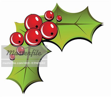 Christmas holly isolated on white background. Illustration.