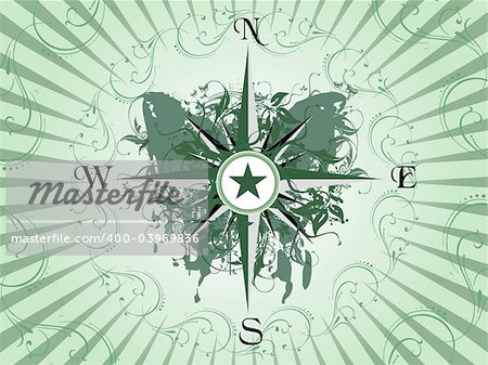 Compass panel on green grunge butterfly background