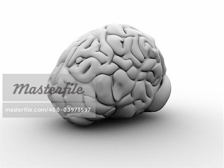 3d rendered anatomy illustration of a human grey brain