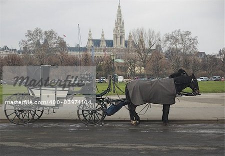One-horse cab on a street in Vienna