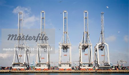 CHarbor cranes at the Port of Rotterdam