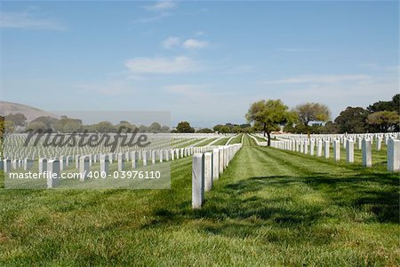 Rows of headstones in a military cemetery