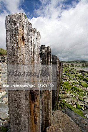 Close up of wooden fence along a beach