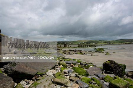 Scenic view of a beach in Southern Ireland