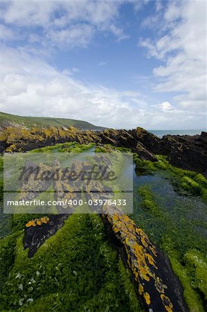 Rugged coastline in Southern Ireland