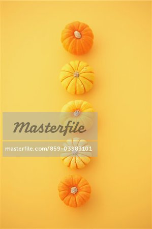 Five Pumpkins On Yellow Background
