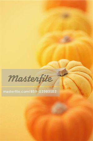 Orange And Yellow Pumpkins