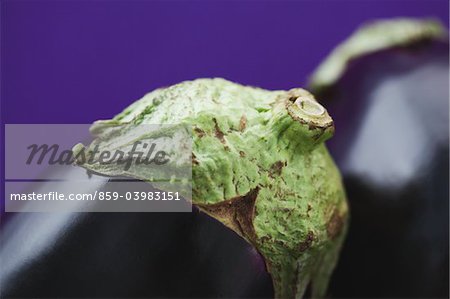 Aubergine, vue de près