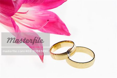 Two gold wedding bands beside a fresh red flower / Closeup of wedding bands and red flower on a white background