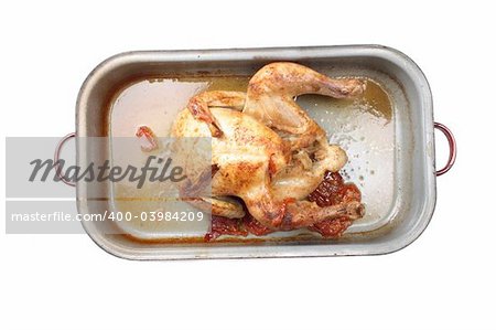 nice grilled chicken on the white background