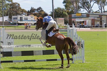 A horse jumping a barrier