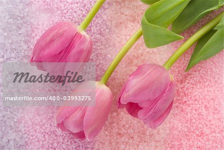 Elegant tulips on colorful spa salt