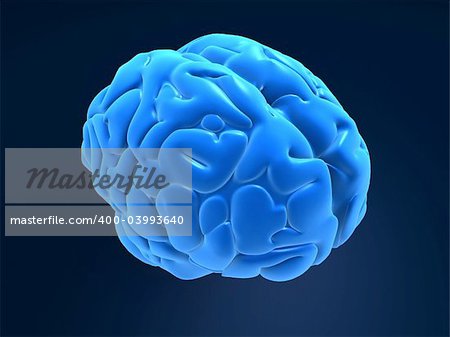 3d rendered anatomy illustration of a blue human brain