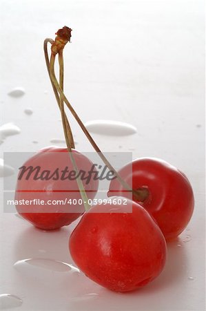 three young cherries and few waterdrops,close-up