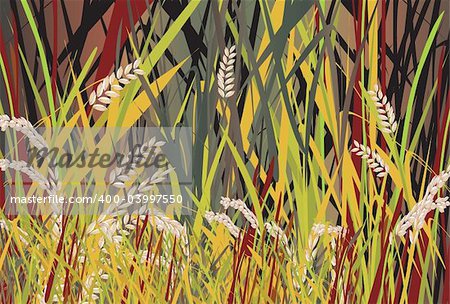 Illustration of paddy field about to harvest