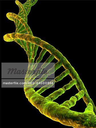 3d rendered illustration of a double helix