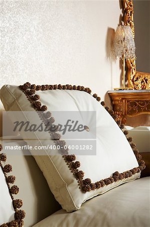 Beautiful pillow on the big white leather sofa