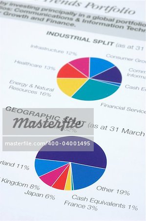 Financial pie chart on industrial and geographic split