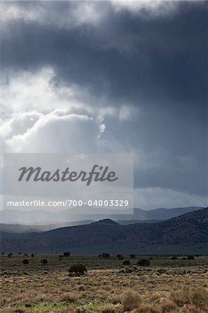 Gewitterwolken und Weideland, Nevada, USA