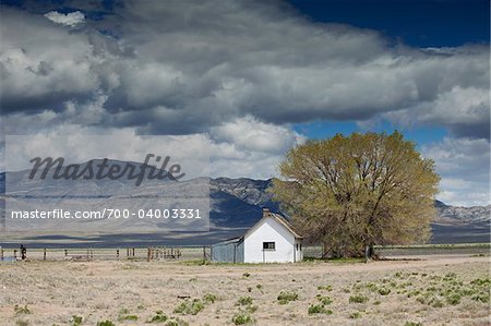 Abandonnés Ranch, l'est du Nevada, USA