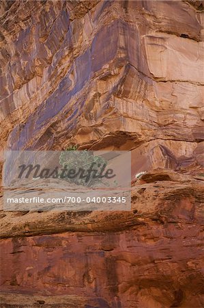 Capitol Reef National Park, Utah, USA