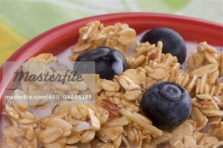 Bowl of Granola and Blueberries in Milk