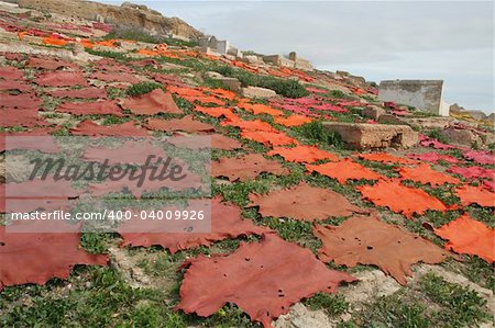 Colored leather lies on hill over city Fez, Morocco, Africa