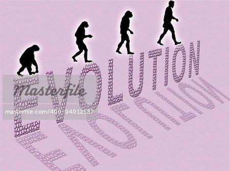 Illustration  about man?s evolution and a writing made of little stones