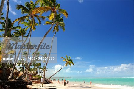 Tropical beach with palm trees on Caribbean island