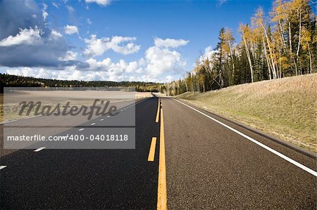 Route de campagne - Kaibab National Forest Arizona USA
