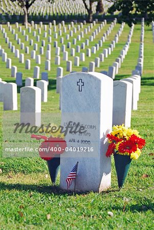 Sign of the times:  Symbolic Tombstone of solider from the Iraq war.  Memorial located in Los Angeles, California.