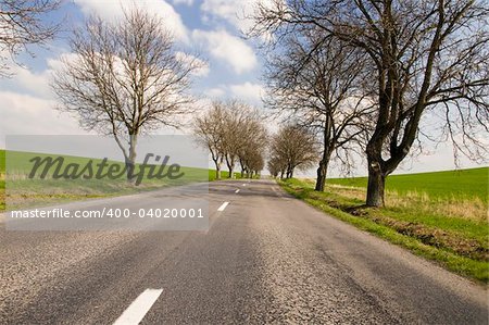 Road with tree alley in countryside with blue sky with clouds