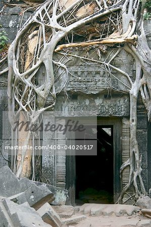 Tha Prohm, Angkor, Cambodia