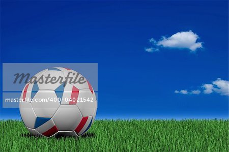 French soccer ball laying on the grass