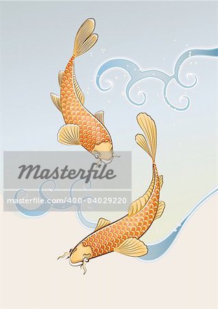 Vector illustration of two koi carps splashing in water and swiming around in a cool pond.