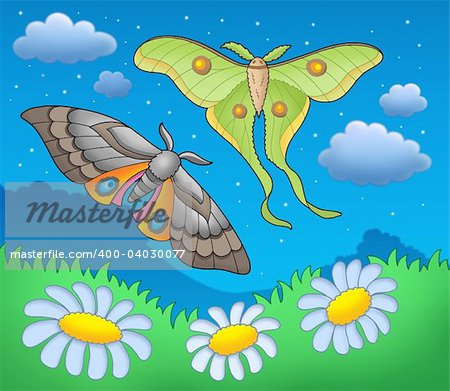 Night butterflies on meadow - color illustration.