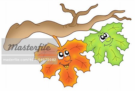 Pair of autumn leaves on branch - color illustration.