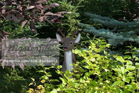 A hunters view of an artificial deer hiding in the bush