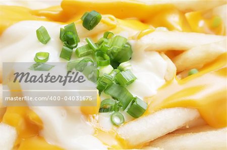 Cheese Fries with Spring Onions and Mayonaise