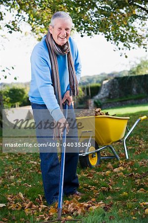 Senior man collecting autumn leaves