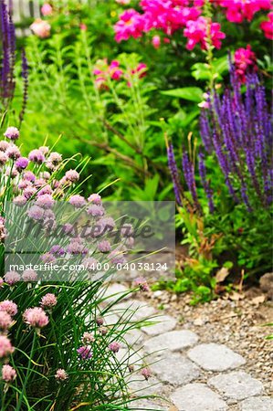 Lush blooming summer garden with paved path